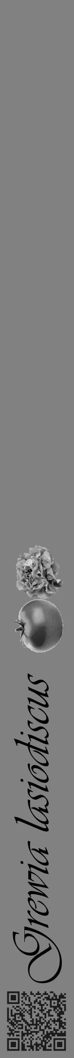 Étiquette de : Grewia lasiodiscus - format a - style noire50viv avec qrcode et comestibilité simplifiée - position verticale