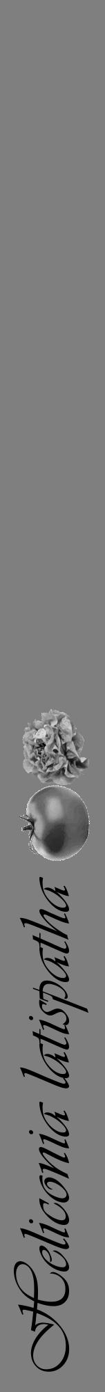 Étiquette de : Heliconia latispatha - format a - style noire31viv avec comestibilité simplifiée - position verticale