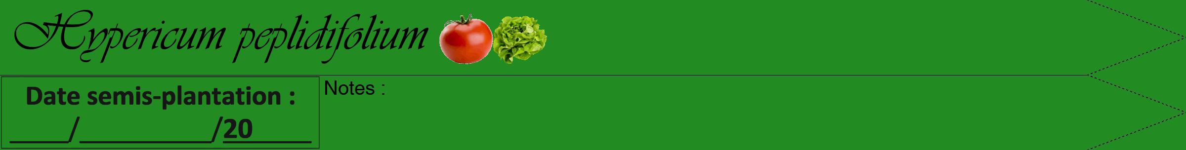 Étiquette de : Hypericum peplidifolium - format a - style noire10simpleviv avec comestibilité simplifiée