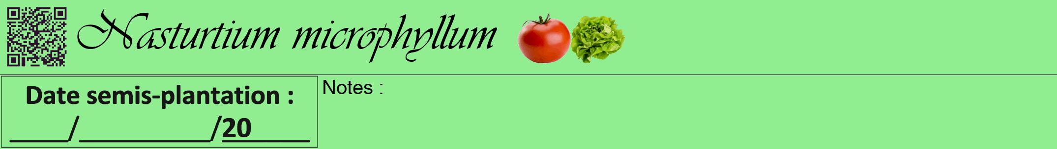 Étiquette de : Nasturtium microphyllum - format a - style noire15viv avec qrcode et comestibilité simplifiée