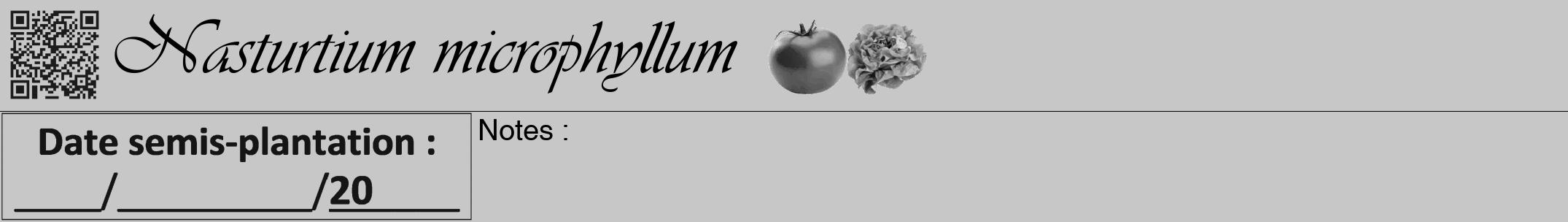 Étiquette de : Nasturtium microphyllum - format a - style noire15viv avec qrcode et comestibilité simplifiée