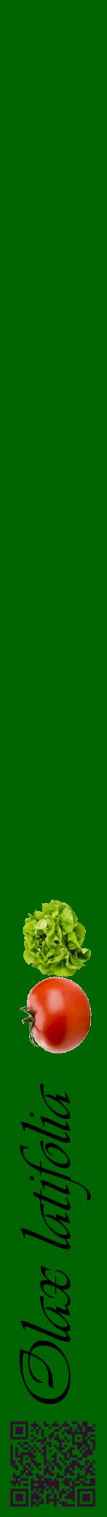 Étiquette de : Olax latifolia - format a - style noire8viv avec qrcode et comestibilité simplifiée