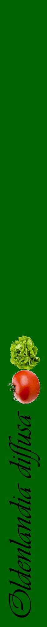 Étiquette de : Oldenlandia diffusa - format a - style noire8viv avec comestibilité simplifiée