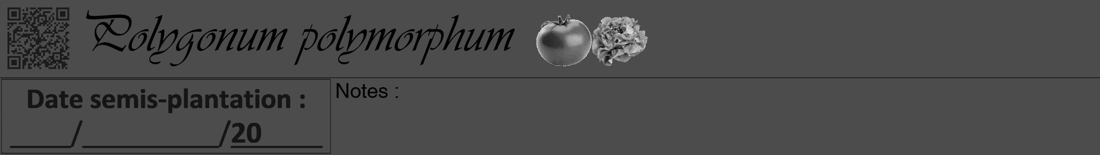 Étiquette de : Polygonum polymorphum - format a - style noire27simpleviv avec qrcode et comestibilité simplifiée