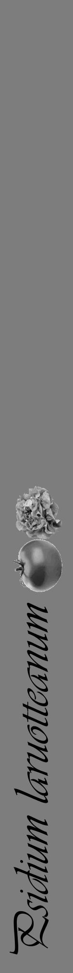 Étiquette de : Psidium laruotteanum - format a - style noire35viv avec comestibilité simplifiée - position verticale