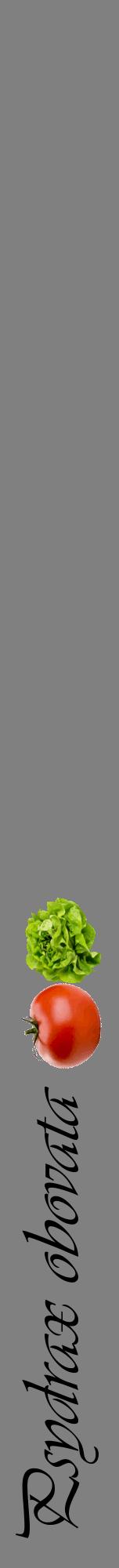 Étiquette de : Psydrax obovata - format a - style noire57viv avec comestibilité simplifiée