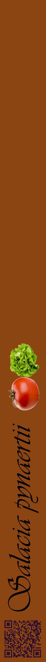Étiquette de : Salacia pynaertii - format a - style noire30viv avec qrcode et comestibilité simplifiée