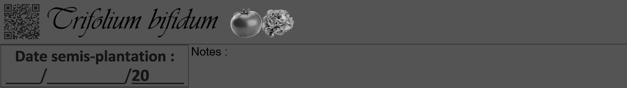 Étiquette de : Trifolium bifidum - format a - style noire30viv avec qrcode et comestibilité simplifiée