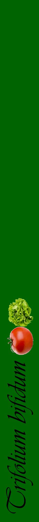 Étiquette de : Trifolium bifidum - format a - style noire8viv avec comestibilité simplifiée