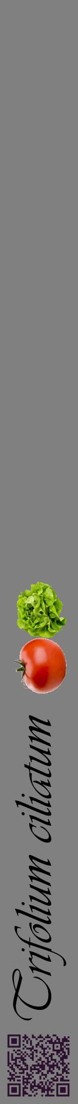 Étiquette de : Trifolium ciliatum - format a - style noire57viv avec qrcode et comestibilité simplifiée