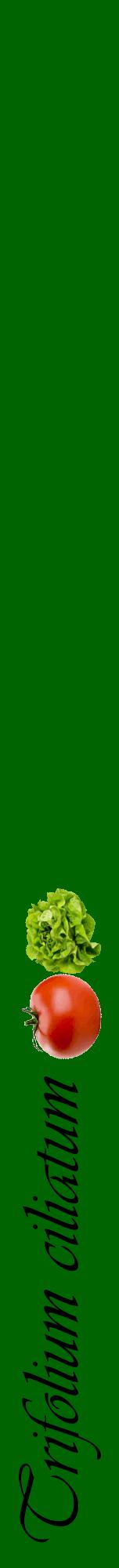Étiquette de : Trifolium ciliatum - format a - style noire8viv avec comestibilité simplifiée