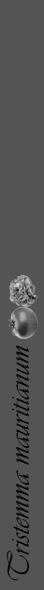 Étiquette de : Tristemma mauritianum - format a - style noire36viv avec comestibilité simplifiée - position verticale