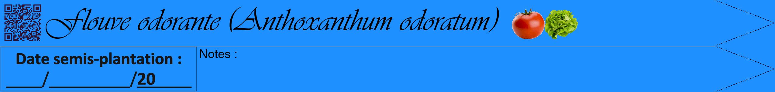 Étiquette de : Anthoxanthum odoratum - format b - style noire3viv avec qrcode et comestibilité simplifiée