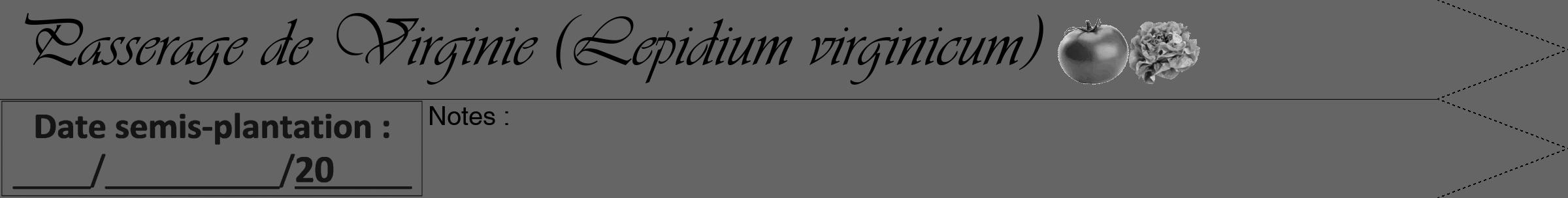 Étiquette de : Lepidium virginicum - format b - style noire32viv avec comestibilité simplifiée