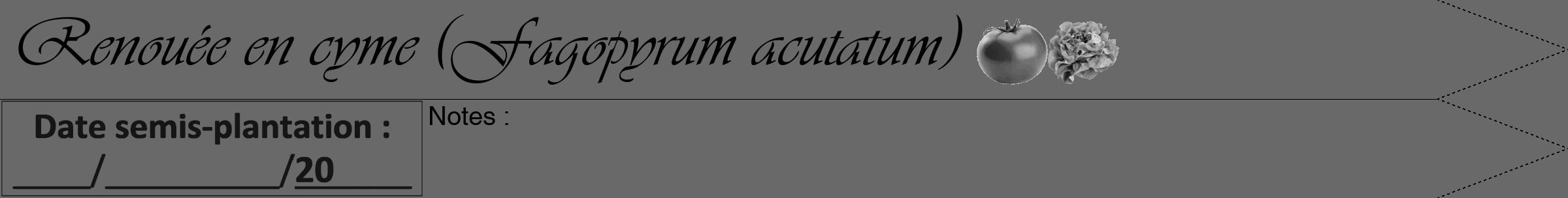 Étiquette de : Fagopyrum acutatum - format b - style noire51viv avec comestibilité simplifiée