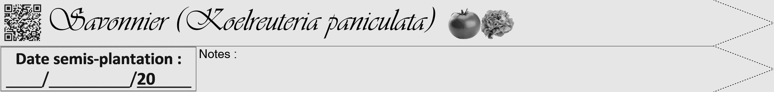 Étiquette de : Koelreuteria paniculata - format b - style noire18viv avec qrcode et comestibilité simplifiée