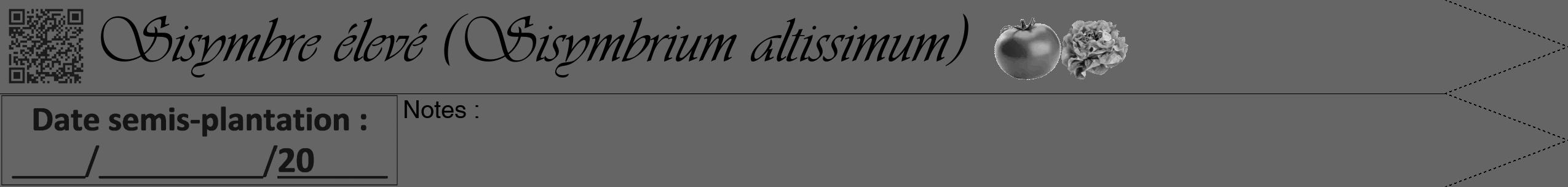 Étiquette de : Sisymbrium altissimum - format b - style noire32viv avec qrcode et comestibilité simplifiée