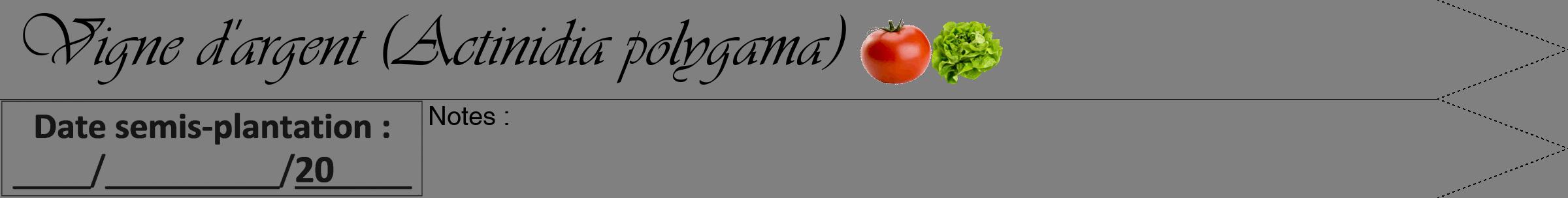 Étiquette de : Actinidia polygama - format b - style noire57viv avec comestibilité simplifiée