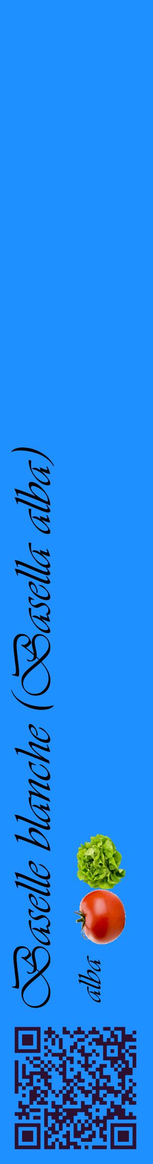 Étiquette de : Basella alba alba - format c - style noire3_basiqueviv avec qrcode et comestibilité simplifiée