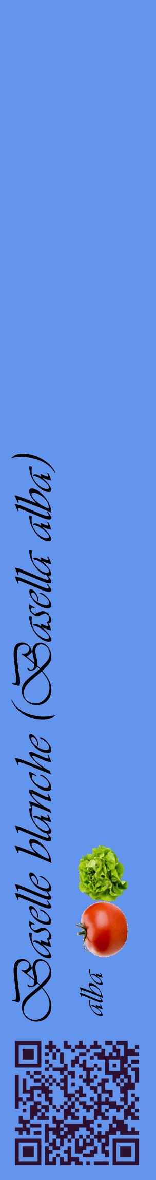 Étiquette de : Basella alba alba - format c - style noire4_basiqueviv avec qrcode et comestibilité simplifiée