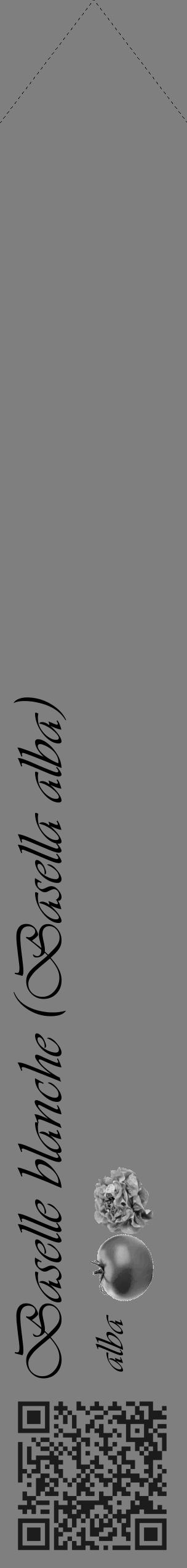 Étiquette de : Basella alba alba - format c - style noire57simple_basique_basiqueviv avec qrcode et comestibilité simplifiée - position verticale