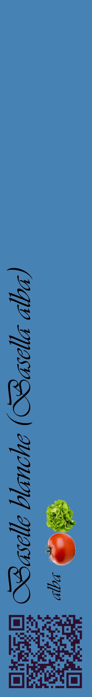 Étiquette de : Basella alba alba - format c - style noire5_basiqueviv avec qrcode et comestibilité simplifiée
