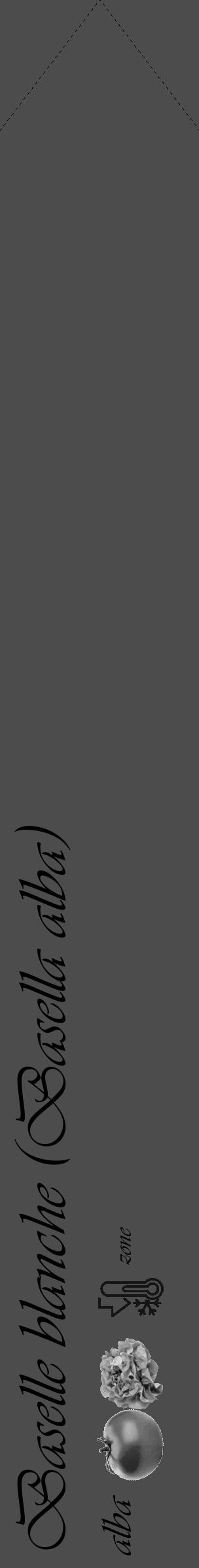 Étiquette de : Basella alba alba - format c - style noire27_simple_simpleviv avec comestibilité simplifiée - position verticale