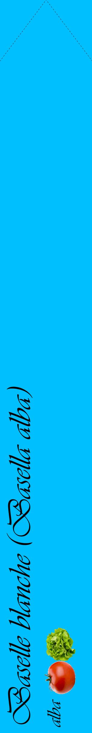 Étiquette de : Basella alba alba - format c - style noire2_simpleviv avec comestibilité simplifiée