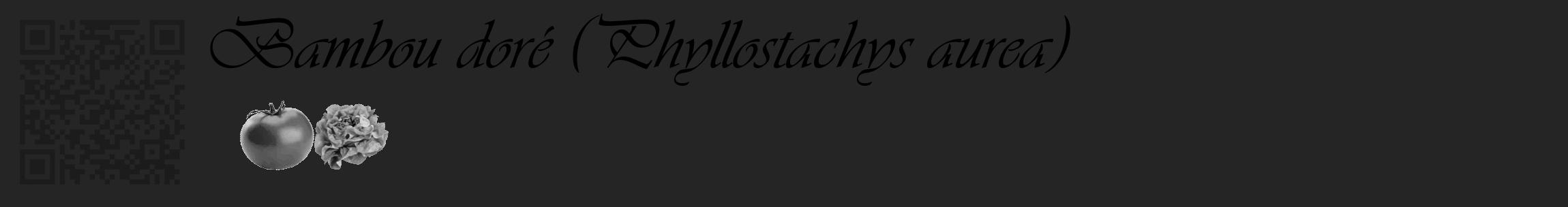 Étiquette de : Phyllostachys aurea - format c - style noire47_basique_basiqueviv avec qrcode et comestibilité simplifiée