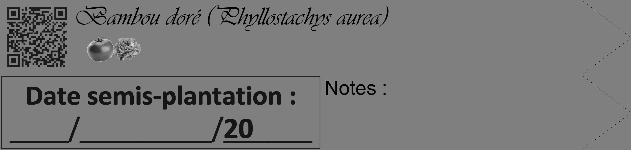 Étiquette de : Phyllostachys aurea - format c - style noire57simple_basique_basiqueviv avec qrcode et comestibilité simplifiée