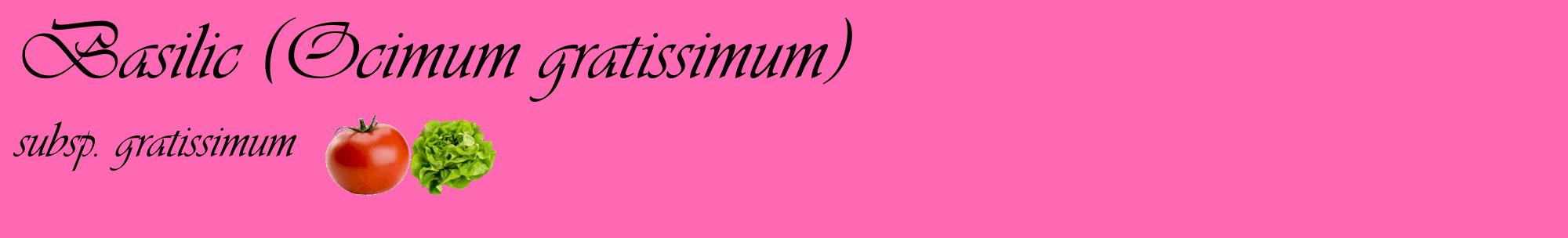 Étiquette de : Ocimum gratissimum subsp. gratissimum - format c - style noire42basique_basique_basiqueviv avec comestibilité simplifiée