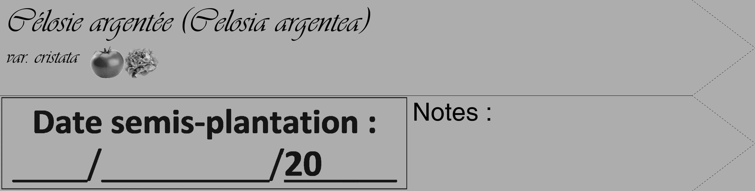 Étiquette de : Celosia argentea var. cristata - format c - style noire22_simple_simpleviv avec comestibilité simplifiée