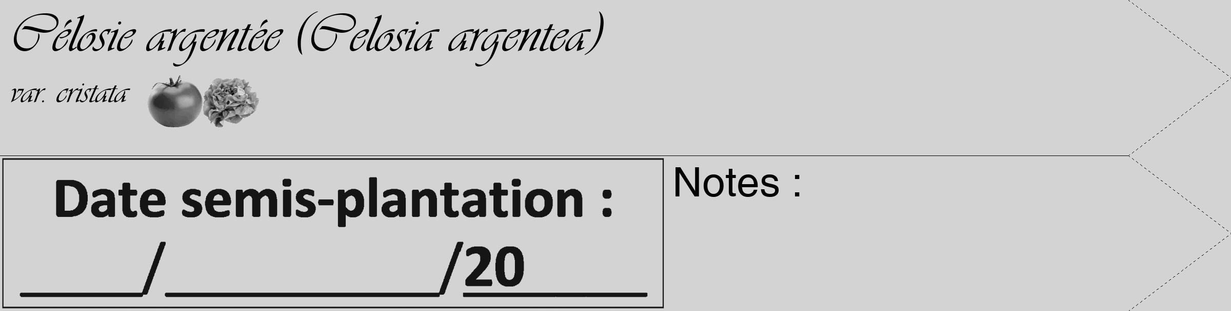 Étiquette de : Celosia argentea var. cristata - format c - style noire56_simple_simpleviv avec comestibilité simplifiée