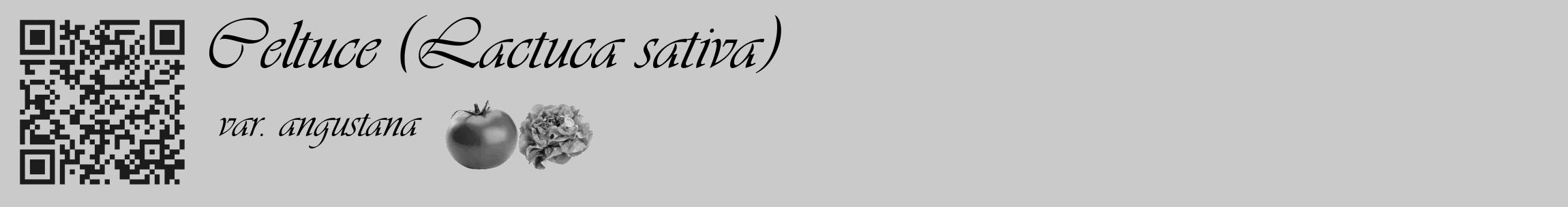 Étiquette de : Lactuca sativa var. angustana - format c - style noire21basique_basique_basiqueviv avec qrcode et comestibilité simplifiée