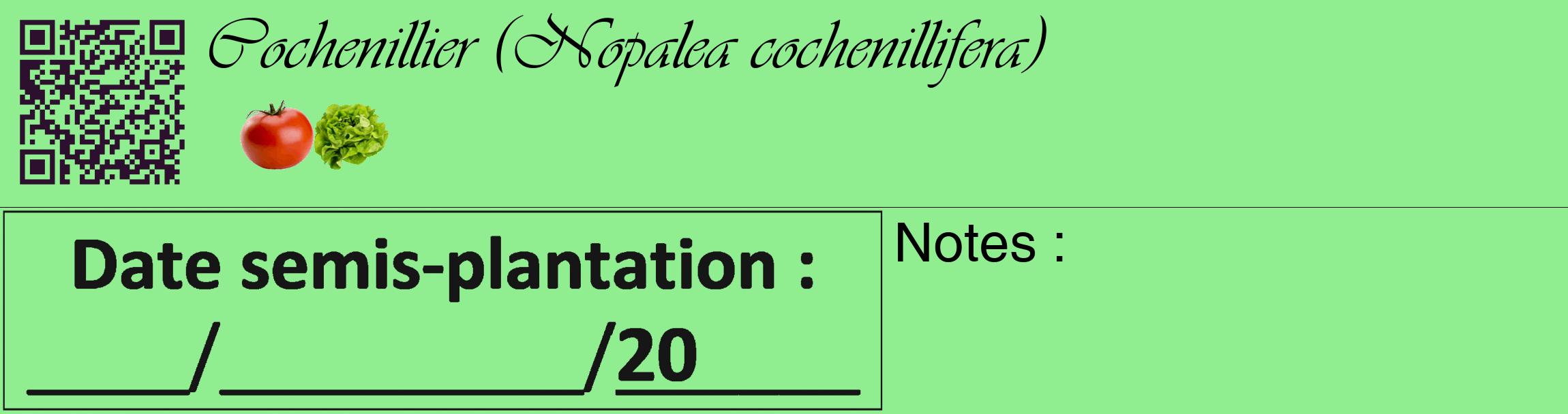Étiquette de : Nopalea cochenillifera - format c - style noire15_basique_basiqueviv avec qrcode et comestibilité simplifiée