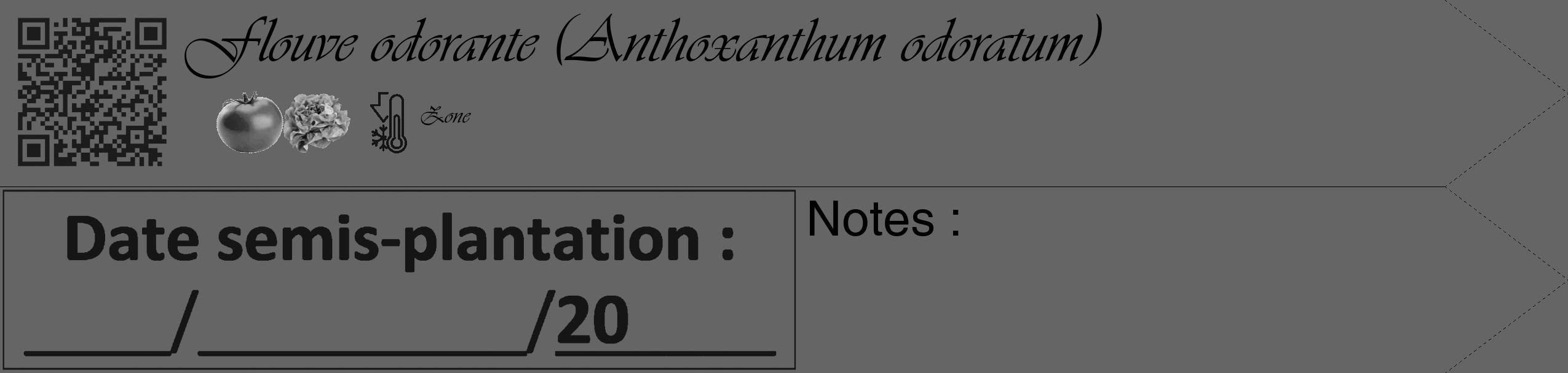 Étiquette de : Anthoxanthum odoratum - format c - style noire32_simple_simpleviv avec qrcode et comestibilité simplifiée