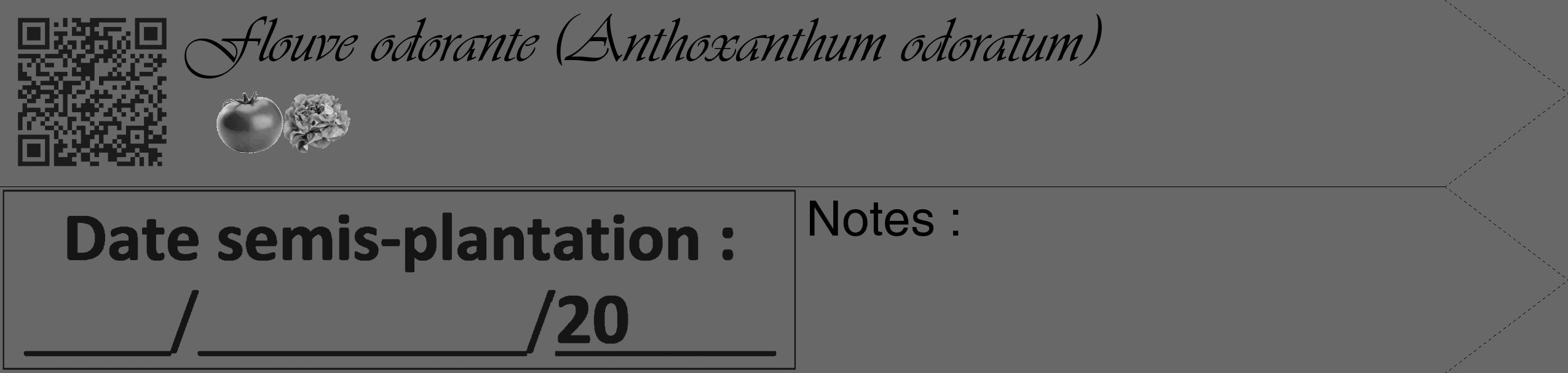 Étiquette de : Anthoxanthum odoratum - format c - style noire43_simple_simpleviv avec qrcode et comestibilité simplifiée
