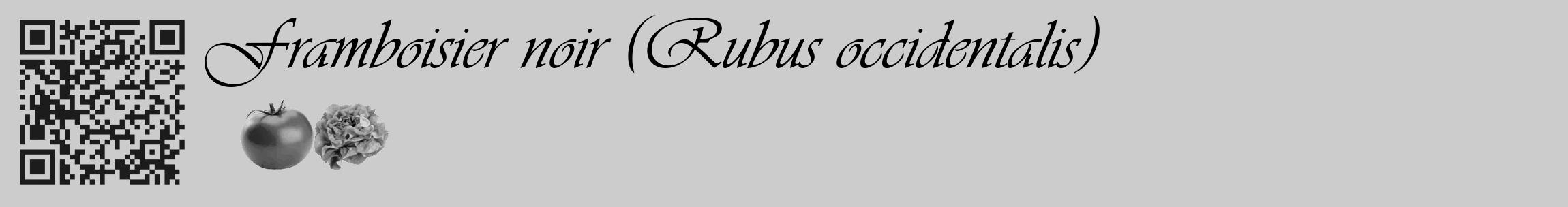 Étiquette de : Rubus occidentalis - format c - style noire0_basique_basiqueviv avec qrcode et comestibilité simplifiée