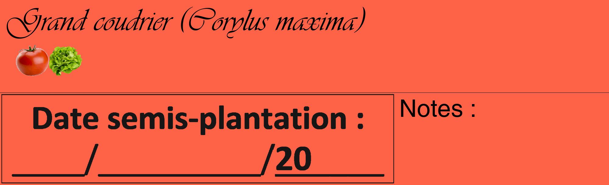 Étiquette de : Corylus maxima - format c - style noire25_basique_basiqueviv avec comestibilité simplifiée