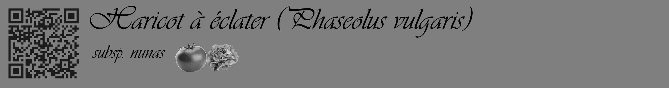 Étiquette de : Phaseolus vulgaris subsp. nunas - format c - style noire57_basique_basiqueviv avec qrcode et comestibilité simplifiée