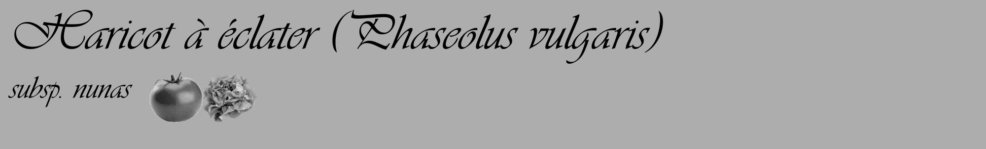Étiquette de : Phaseolus vulgaris subsp. nunas - format c - style noire22_basique_basiqueviv avec comestibilité simplifiée