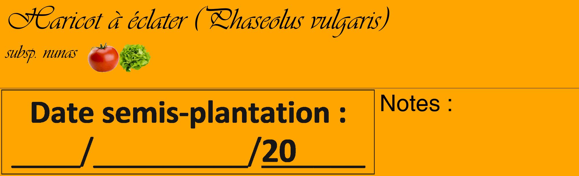 Étiquette de : Phaseolus vulgaris subsp. nunas - format c - style noire22_basique_basiqueviv avec comestibilité simplifiée