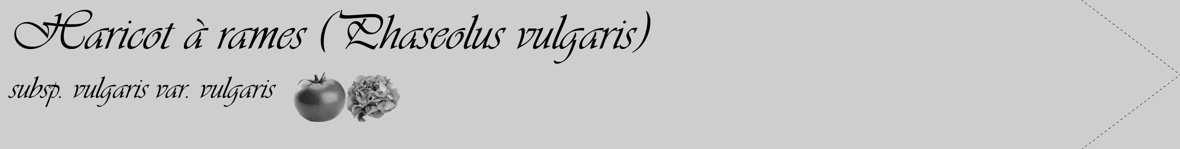 Étiquette de : Phaseolus vulgaris subsp. vulgaris var. vulgaris - format c - style noire17_simple_simpleviv avec comestibilité simplifiée