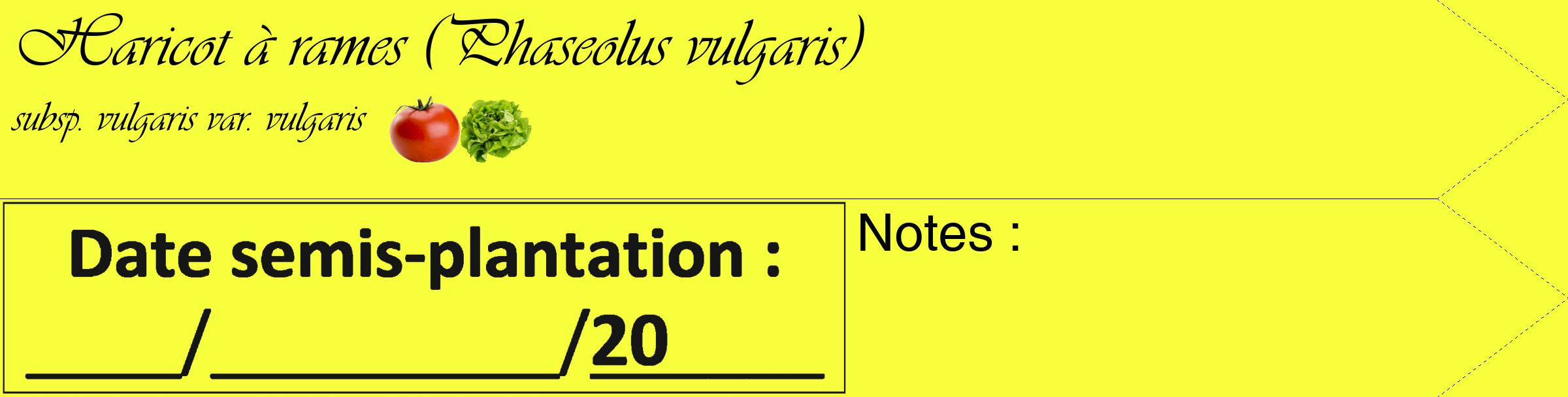 Étiquette de : Phaseolus vulgaris subsp. vulgaris var. vulgaris - format c - style noire18_simple_simpleviv avec comestibilité simplifiée