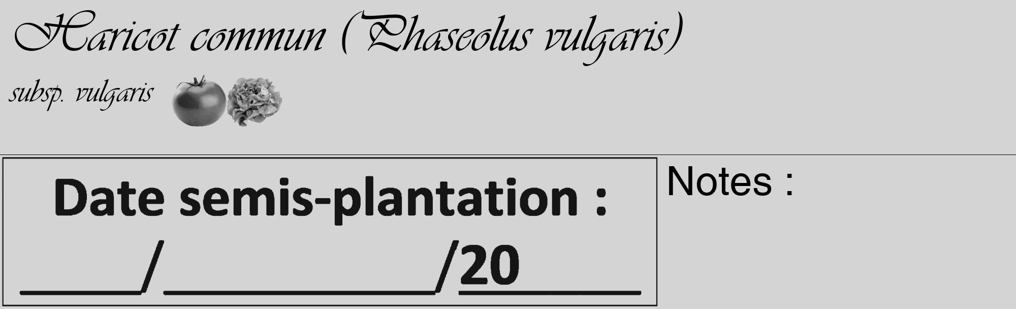 Étiquette de : Phaseolus vulgaris subsp. vulgaris - format c - style noire40basique_basique_basiqueviv avec comestibilité simplifiée