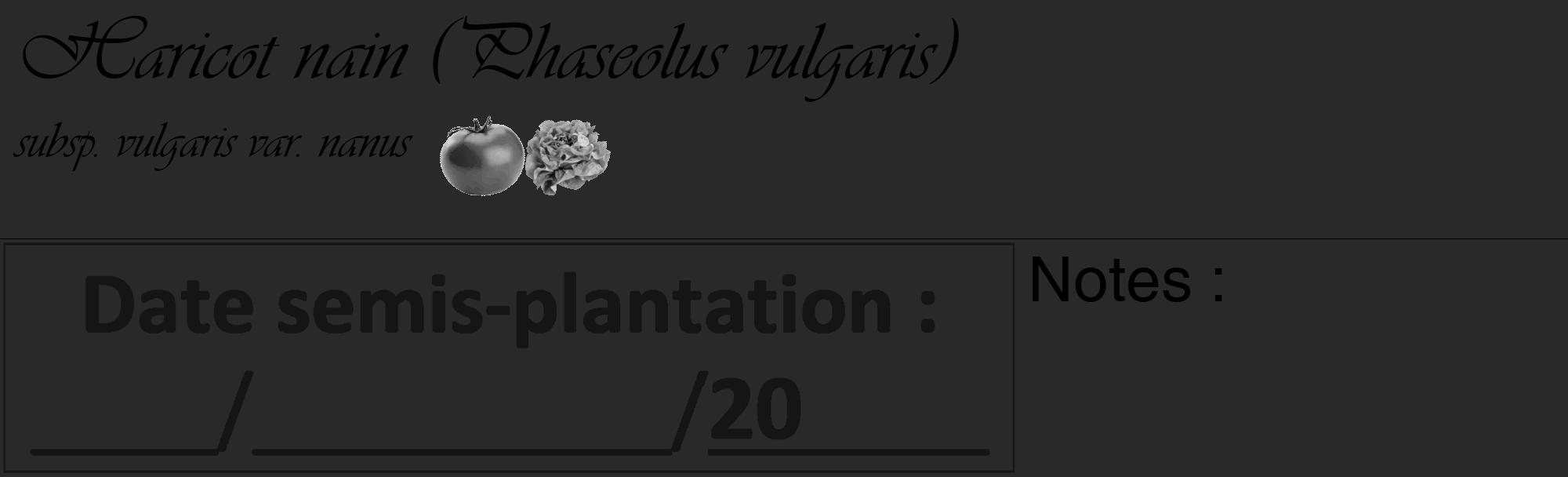 Étiquette de : Phaseolus vulgaris subsp. vulgaris var. nanus - format c - style noire34_basique_basiqueviv avec comestibilité simplifiée