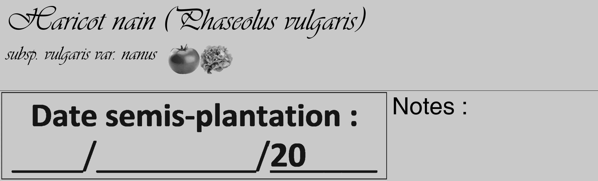 Étiquette de : Phaseolus vulgaris subsp. vulgaris var. nanus - format c - style noire54_basique_basiqueviv avec comestibilité simplifiée