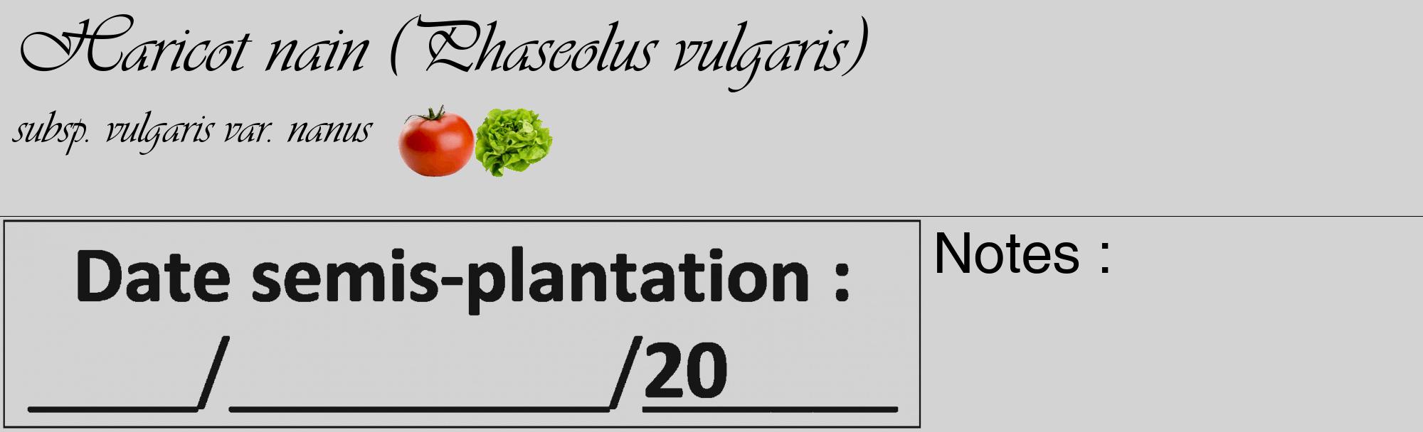 Étiquette de : Phaseolus vulgaris subsp. vulgaris var. nanus - format c - style noire56_basique_basiqueviv avec comestibilité simplifiée