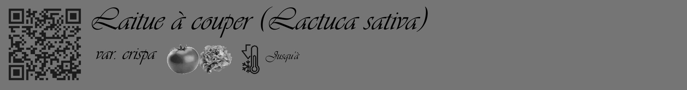 Étiquette de : Lactuca sativa var. crispa - format c - style noire5_basique_basiqueviv avec qrcode et comestibilité simplifiée