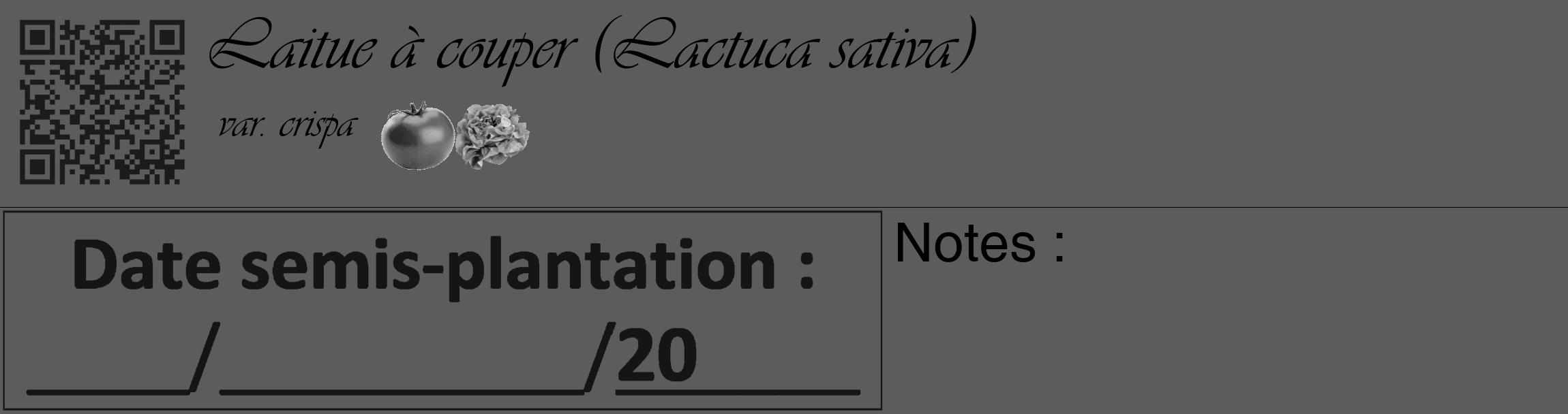Étiquette de : Lactuca sativa var. crispa - format c - style noire49_basique_basiqueviv avec qrcode et comestibilité simplifiée